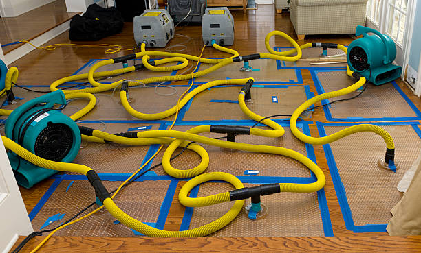 Professional Flood Damage Restoration technician working in Clayton, AL